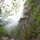 서면사무소(양양) 이미지