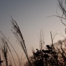 산빛 근린공원 이미지