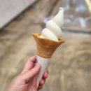 으뜸아이스크림광양초점 | 백미당 아이스크림 T멤버십 1+1 우유 옥수수 소프트콘 후기