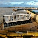 동갈매기 이미지