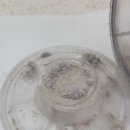 하이츠세탁 이미지