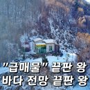 강화도공인중개사사무소 | 급매물 강화도 전원 주택ㅣ산자락 밑 시원한 바다조망ㅣ주인 직접 건축한 벽돌 주택ㅣ매물번호 16378