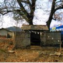 옥대1리 이미지