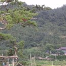 옛한옥집