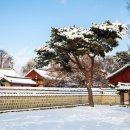 남면로-1 이미지