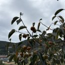 원일펜션 이미지