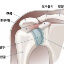 코엑스짐 중곡점 이미지