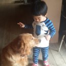 진영농원 이미지