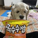 규람마트