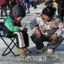 손맛이 짜릿 즐거움 가득한 `자라섬씽씽겨울축제 이미지