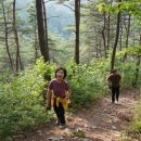 청송자연휴양림 이미지