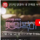 펫미픽미 이미지