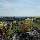 바람의 집 이미지