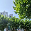 김영훈한의원 이미지