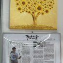 영남 명품세탁 이미지