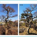 삼보농장 이미지