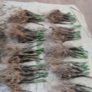 종근농장 이미지