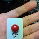 붉은황소 이미지