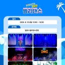 [서부] 벨리댄스(2025) 네이버블로그