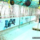 아뜰리에어린이집 이미지