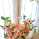 사파동372 이미지