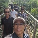 (주)3알파 이미지