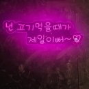 장모사위돼야지