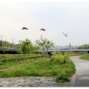 광주천변 자전거 도로 이미지