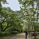 장어세상 이미지