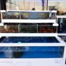 홈플러스 앞 이미지