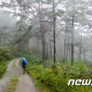 가을 끝자락 11월 걷기좋은 길…춘양목 솔향기길 등 6곳 이미지