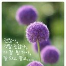 꽃봉우리 이미지