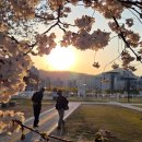 국립기상박물관 이미지