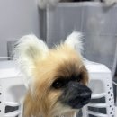 탄리로95번길 이미지