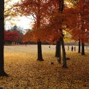 자연모두 이미지