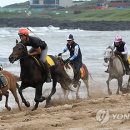 서귀포산업 주식회사 이미지