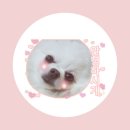 (주)마루세끼 네이버블로그