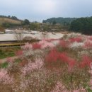 홍천자연랜드 이미지