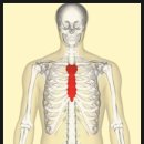닥터바벨 이미지