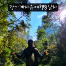 천보파트너스 | 중국 장가계 여행 무릉원 3일차 황석채 금편계곡 십리화랑