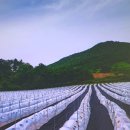 도반농장 이미지