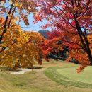 양평TPC GC 이미지