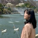차딱지 | <내돈내산> 강남 압구정 주근깨 딱지레이저 2회차 후기