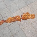 중앙대로179번길 이미지