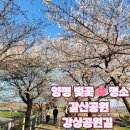 소요생활체육공원 축구장 | 양평 벚꽃 명소 강상공원길 또는 갈산공원 비교