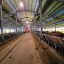 함평농장 이미지