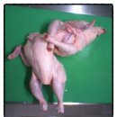 모아닭집 네이버블로그