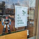 가마메 | 구미 맛집 히노아지 가마메 일본식라멘 돈까스