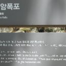 우림 이미지