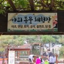 호호 닭 농장 이미지